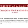 descriptive words adjectives for relationship