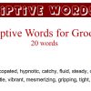 descriptive words adjectives for groove