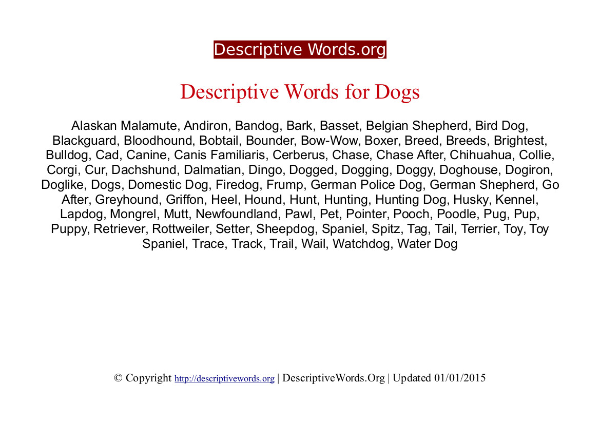 Descriptive Words for Dogs